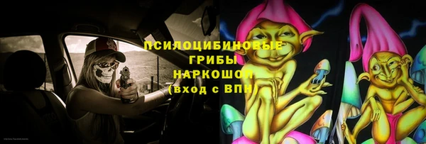 стаф Бугульма