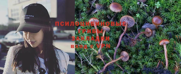 стаф Бугульма