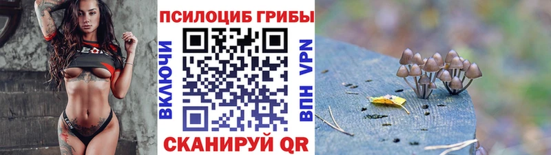 Купить где  Углегорск  Псилоцибиновые грибы Magic Shrooms 